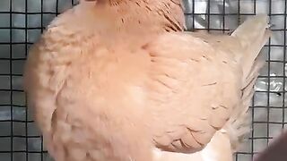 What to do 4