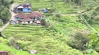Beautiful village atmosphere, feels cold and feels at home???? - #suasanakampung