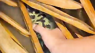 Looking for a fish or eel.. Thanks for watching..!! 3