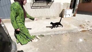 After the flood, Bagheera the friendly cat became thin.