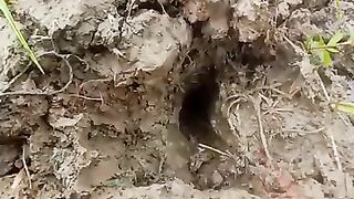 Looking for a fish or eel.. Thanks for watching..!! 5
