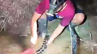 Looking for a fish or eel.. Thanks for watching..!! 6