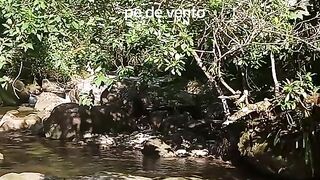 Cachoeiras de Macacu