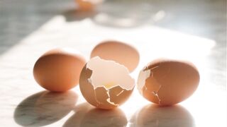 The Truth About Eggs – You’ve Been Misled!