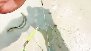 Looking for a fish or eel.. Thanks for watching..!! 7