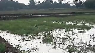 Looking for a fish or eel.. Thanks for watching..!! 8