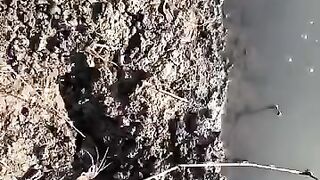 Looking for a fish or eel.. Thanks for watching..!! 9