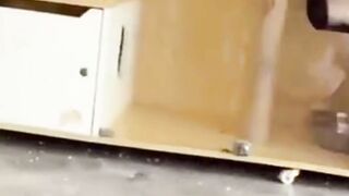 Kisah Menyedihkan AnakKecil dan Kucing Kesayanganny