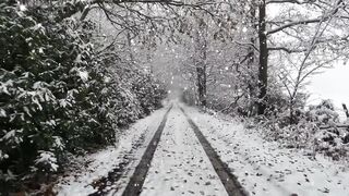 Winterhalter - id | Trending HD Video 30