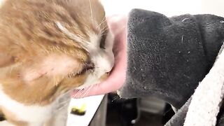 Too sweet