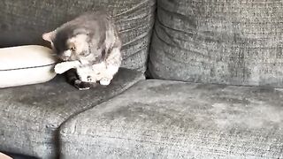 He finks he sneaky