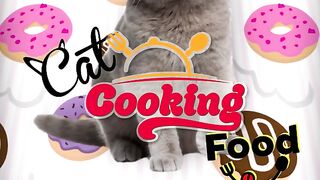 Кот готовит еду #7 (funny cat cooking actions) Рецепты от кота