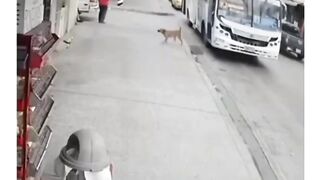 Vamos rir ????