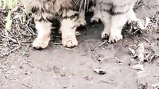 Serious conversation :D