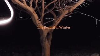 Night video