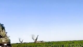 Ukraine Russia War Hot TikTok News