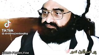 Peer Naseer Ul Deen Naseer