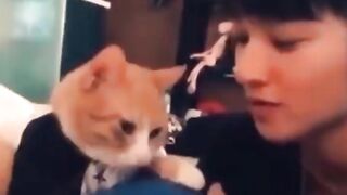 Funniest cats and dogs video 2023,impossible not to laugh