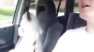 Funny Animals/Pets Compilation2023