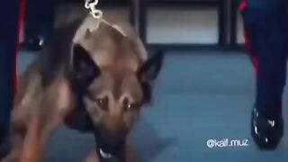 Лучший друг