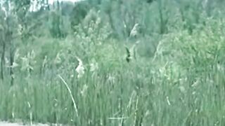 Amazing video