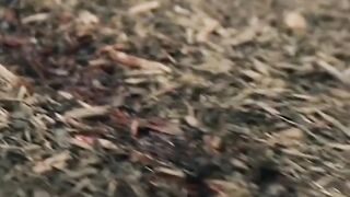 Amazing video