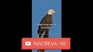 motivaçaodiaria
