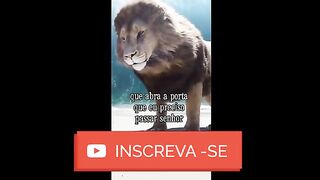 motivaçaodiaria