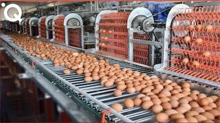 Food Industry Machines That Are At Another Level