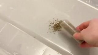 FUNNY VIDEOZ4