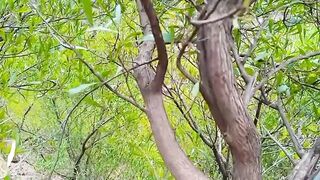 Desi vlogs village