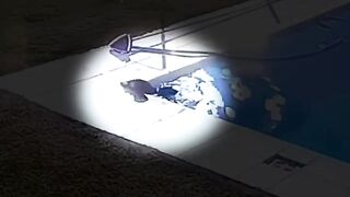 Dog fell into water