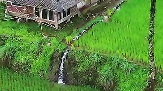 Rumah sederhana yang penuh kenyamanan di kampung halaman????  #suasanakampung
