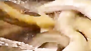Looking for a fish or eel.. Thanks for watching..!! 11