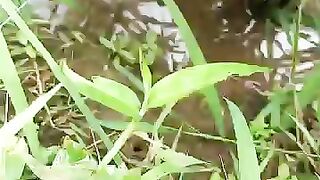 Looking for a fish or eel... Thanks for watching..!! 5