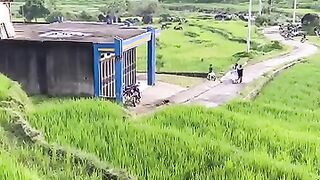 Viral 93
