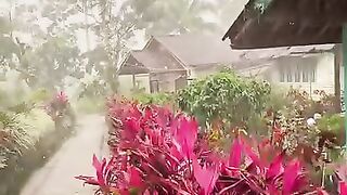 Suasana syahdu turun hujan di pelosok kampung???????? -  #suasanakampung #vibes #hujan