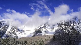 Winterhalter - id | Trending HD Video 32