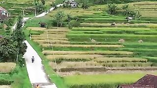 suasana kampung yang indah dan terasa tenang???????? - #suasanakampung #pedesaan #cianjurselatan