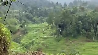 Kampung yang indah seperti lukisan????