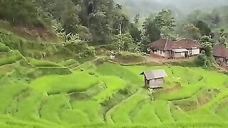 A beautiful village, cold, far from pollution and feels at home???? #suasanakampung #pedesaan #garutselatan