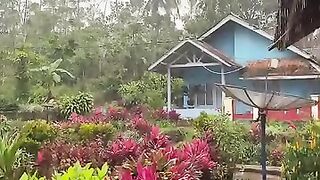 The pleasant atmosphere of rain in the village makes me feel comfortable pulling the blanket inside the house???? #suasanakampung #vibes #hujan