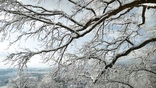 Winter Coat - id | Trending HD Video 28