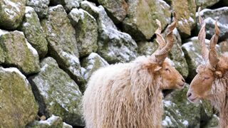 Snow boot - id | Trending HD Video 17