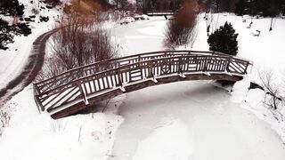 Winter Coat - a snow covered park | Trending HD Video
