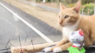 Мандрівник ????