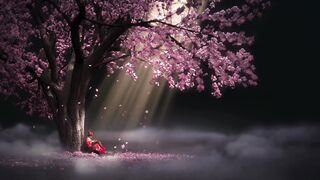 The Pioneer Woman - id | Trending HD Video 27