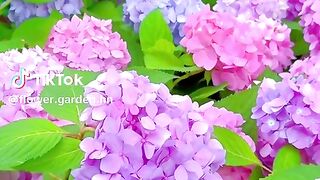 Beautiful scenery 26