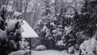 The Shy Snow Woman and the Cursed Ring - id | Trending HD Video 28