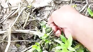 Looking for a fish or eel... Thank for watching..!!